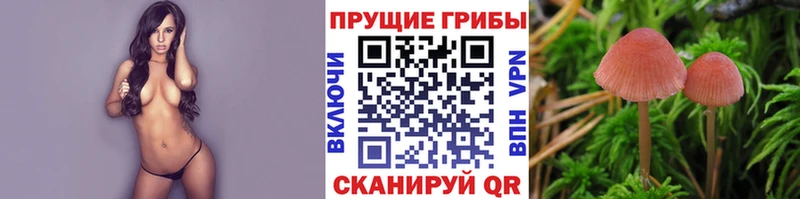 Псилоцибиновые грибы мухоморы  закладка  Шуя 