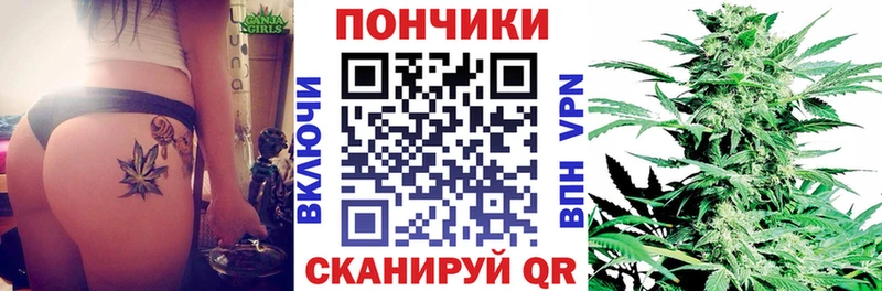 ОМГ ОМГ онион  Шуя  Каннабис SATIVA & INDICA  закладка 